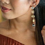Isabella Ombre Dangle Earrings